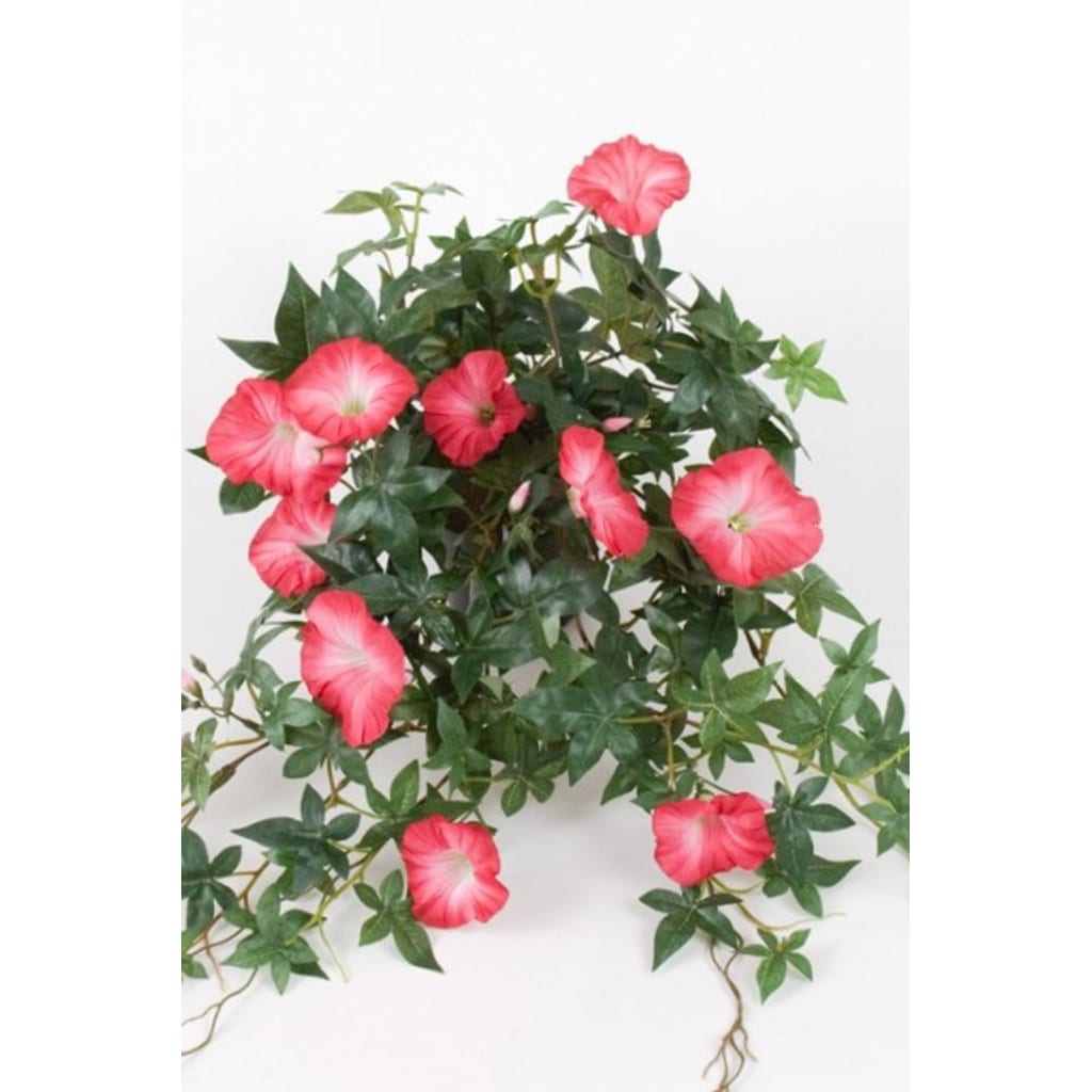 Blomst for dagen