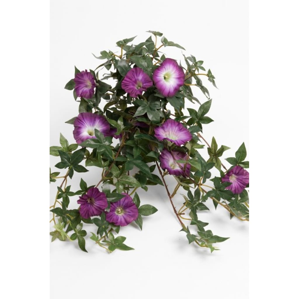 Blomst for dagen