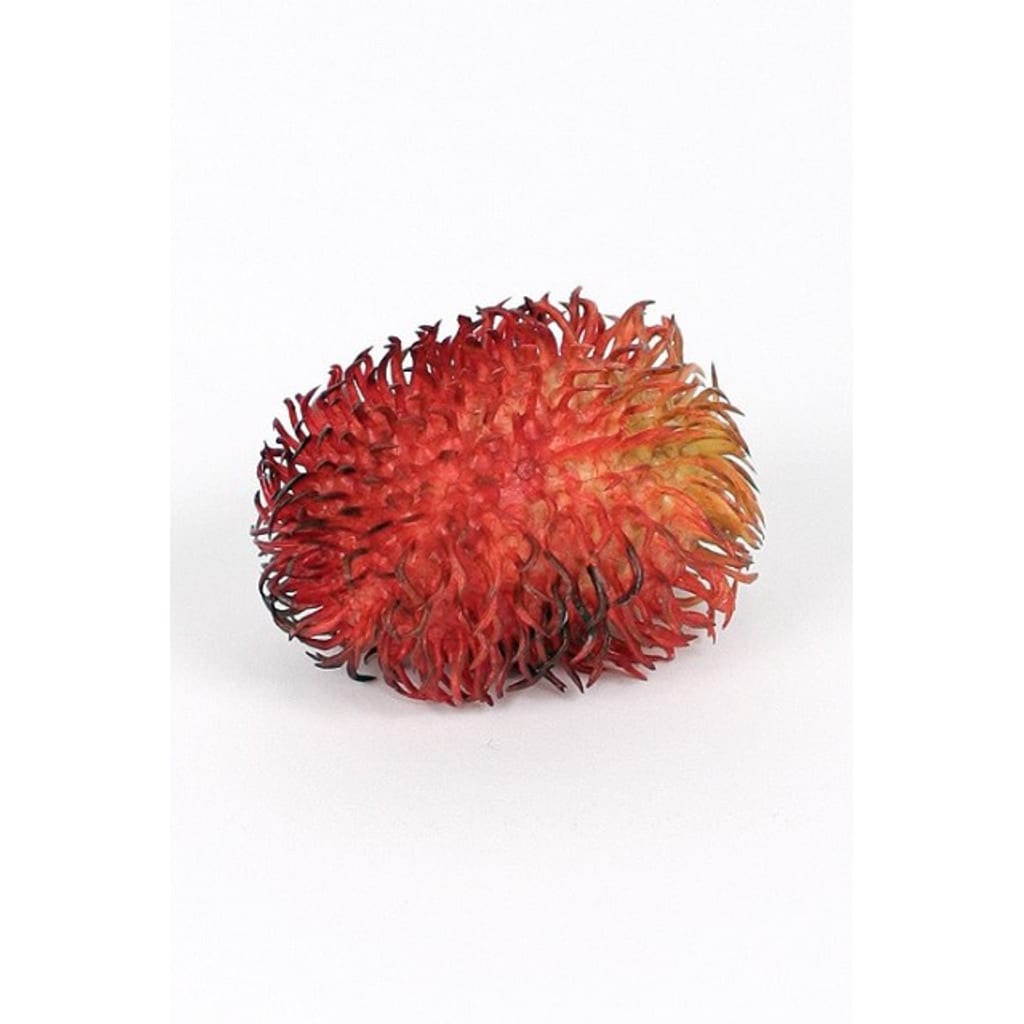 Rambutan