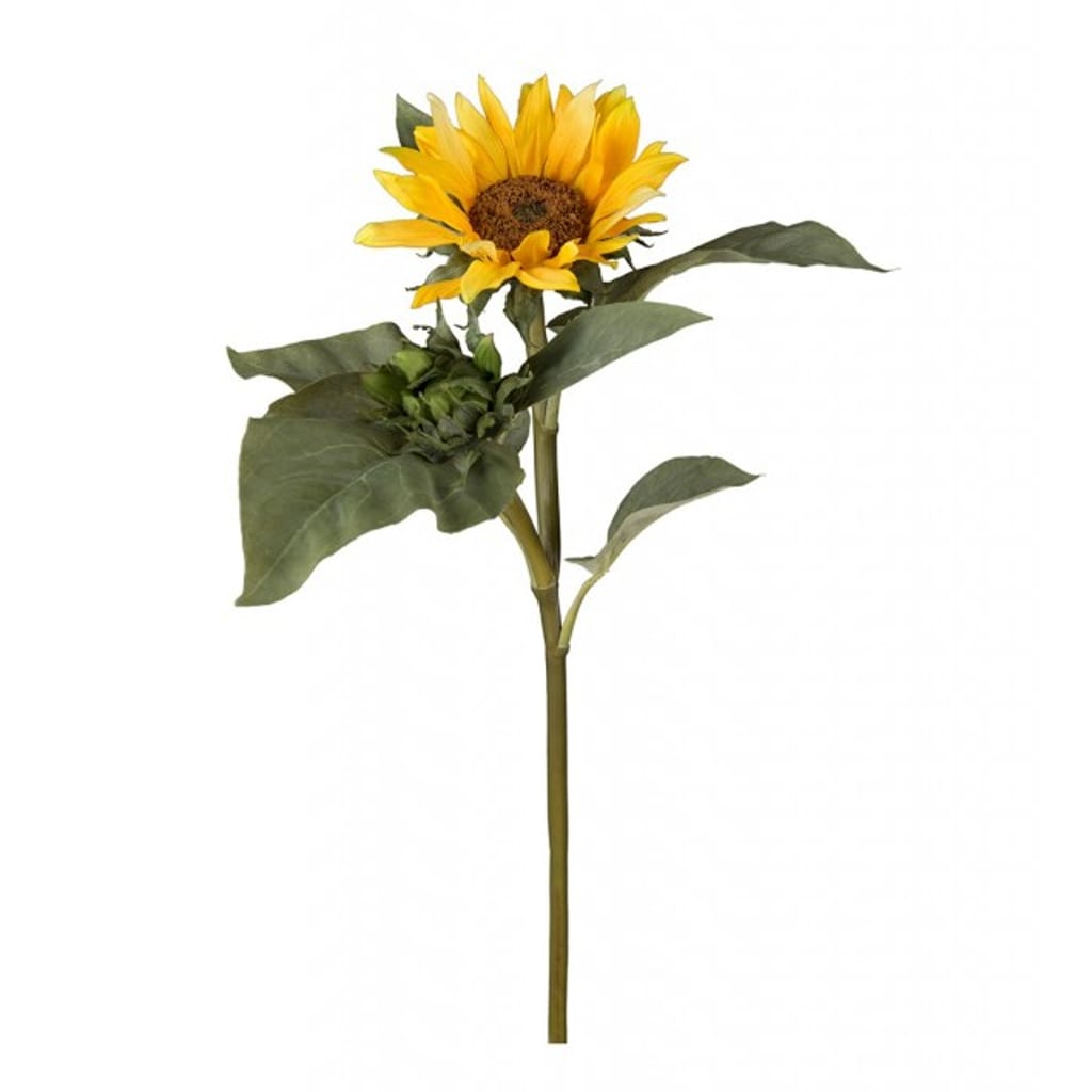 Solsikke 70cm