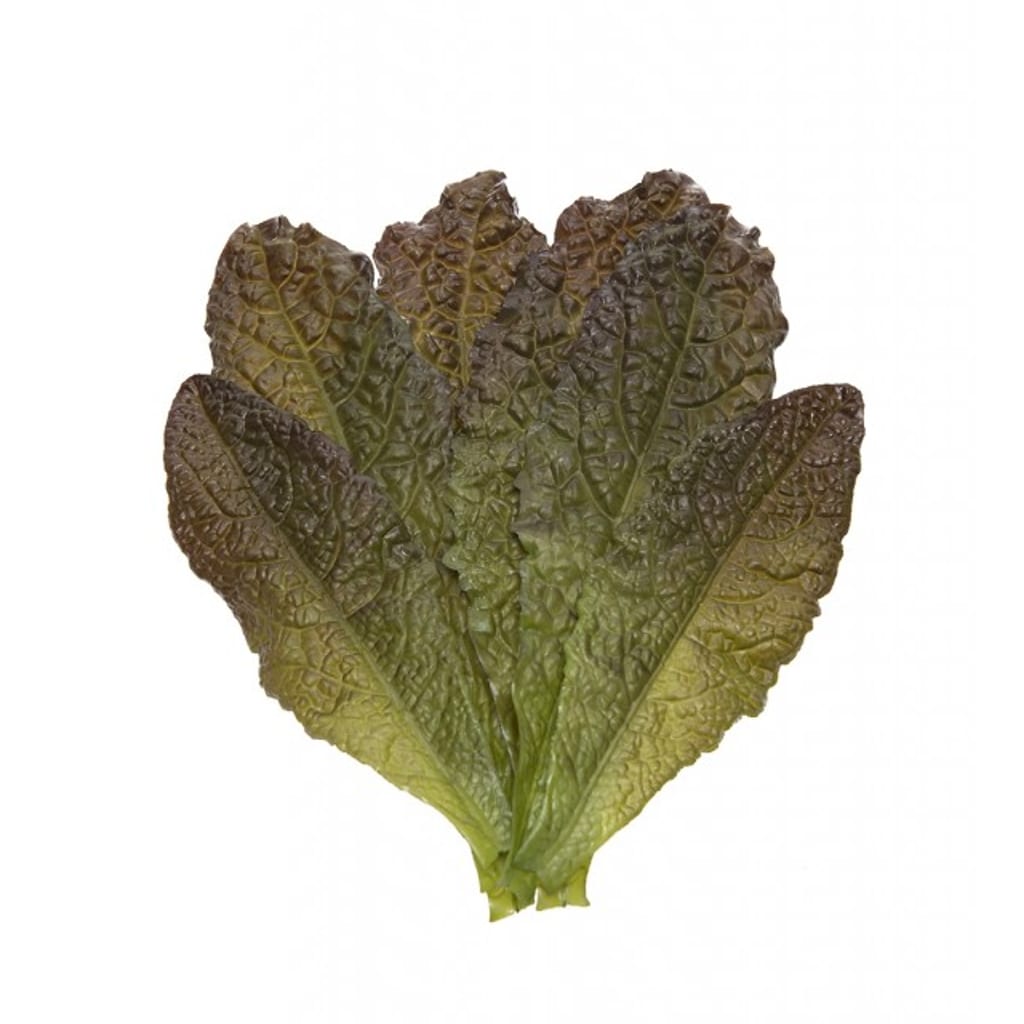 Salatblader 6 stk