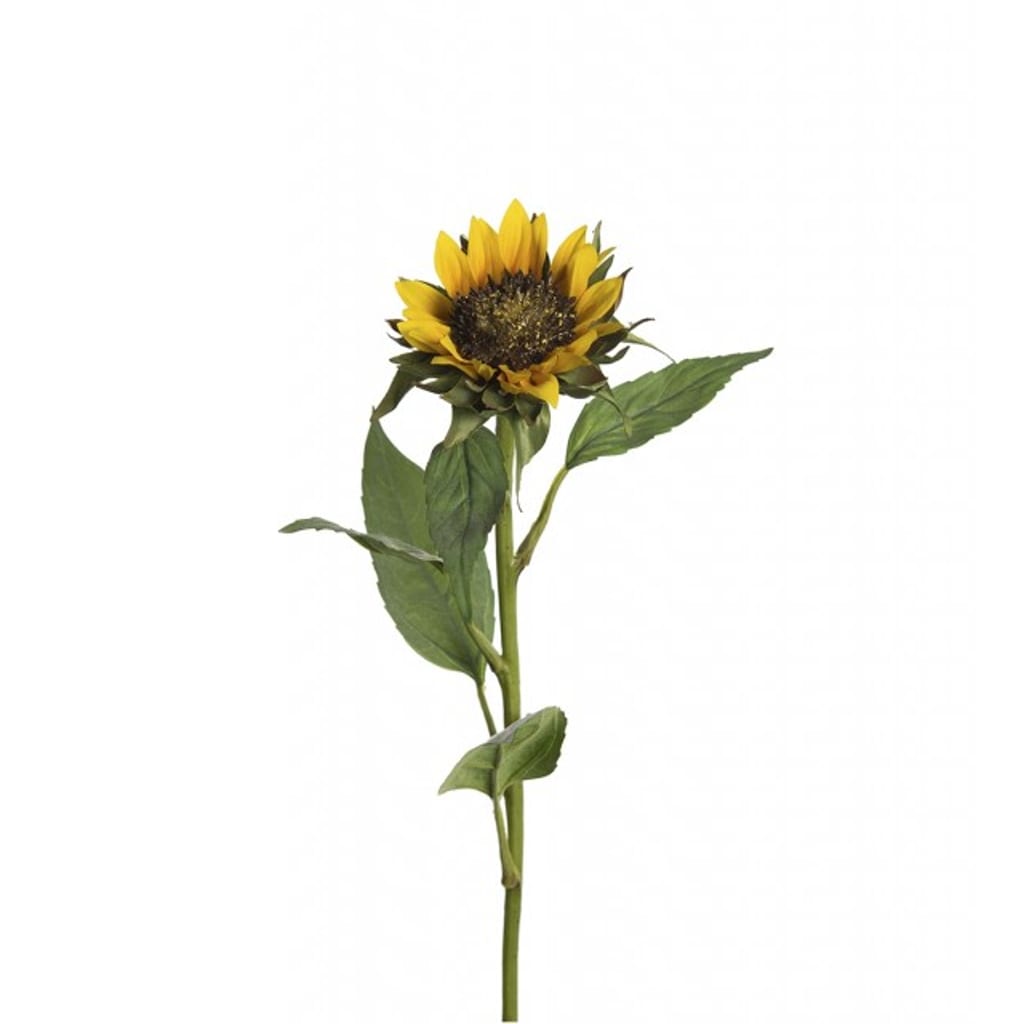 solsikke 65cm