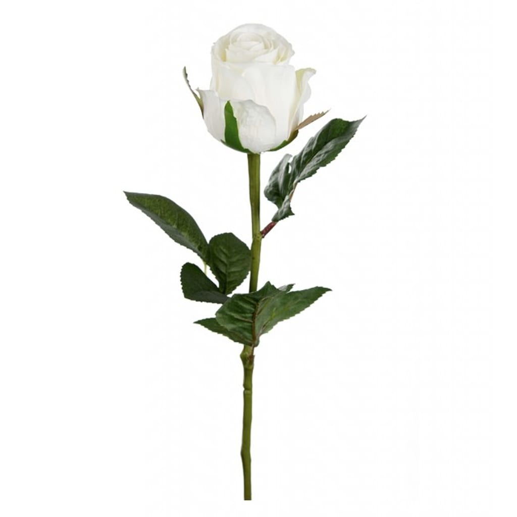 Rose 50cm hvit