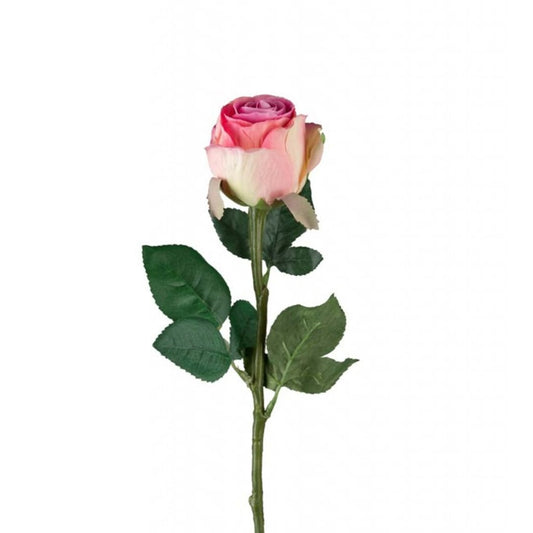 Rose 50cm rosa