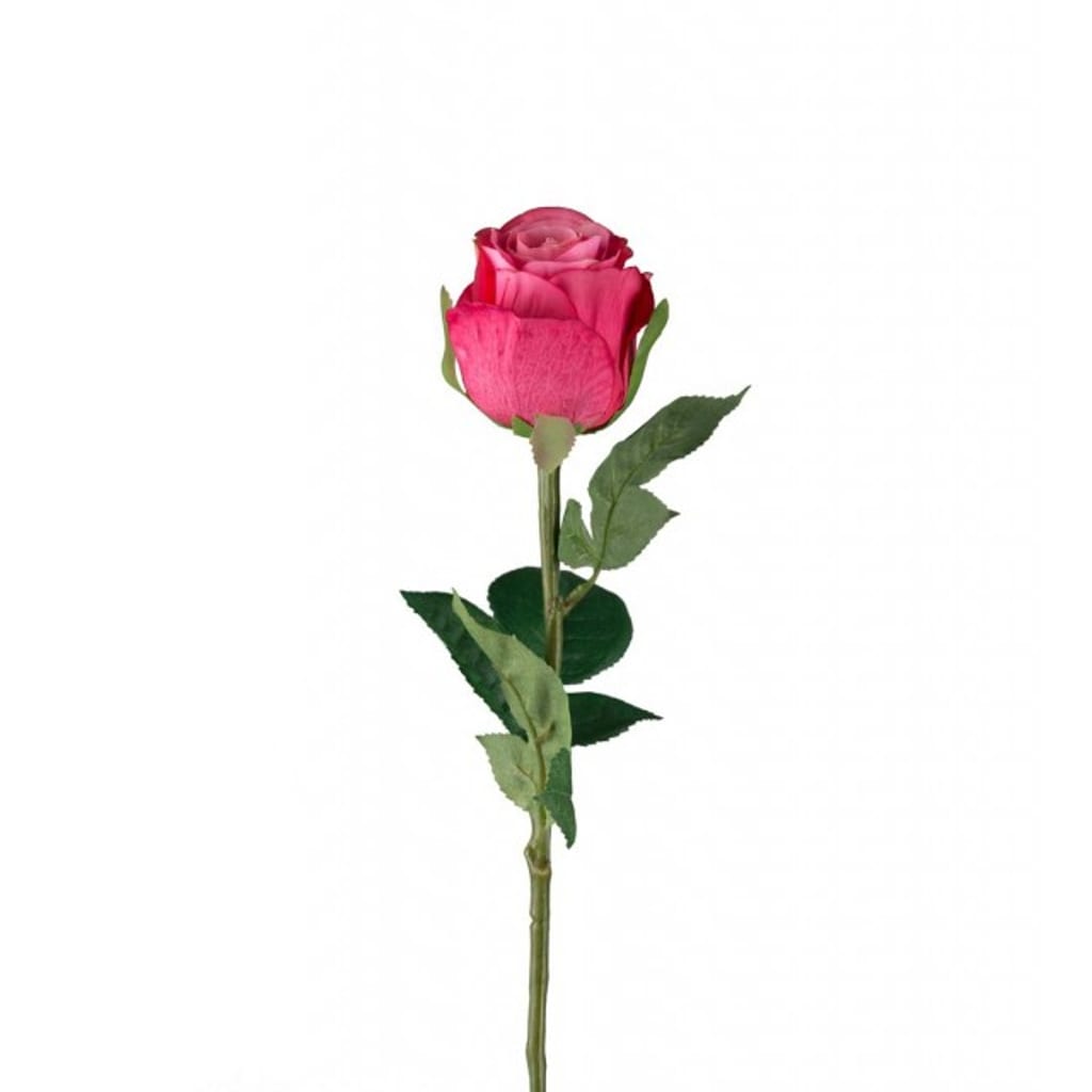 Rose 50cm rosa