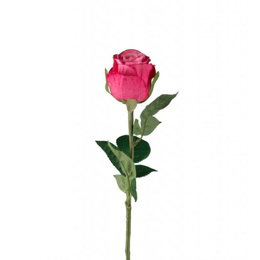 Rose 50cm rosa