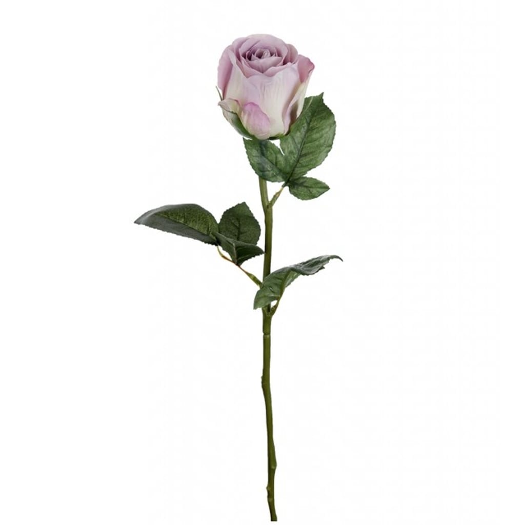 Rose 50cm lilla