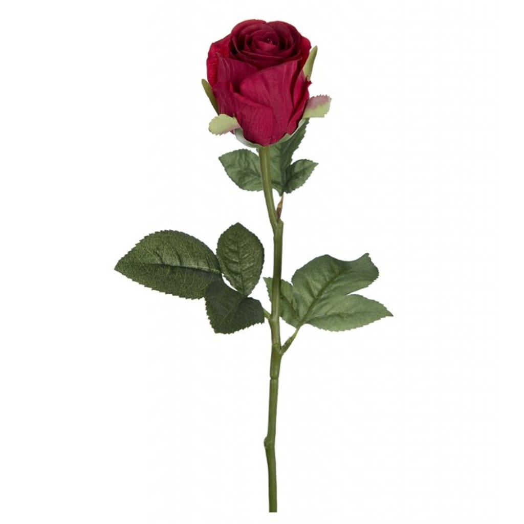 Rose 50cm rød