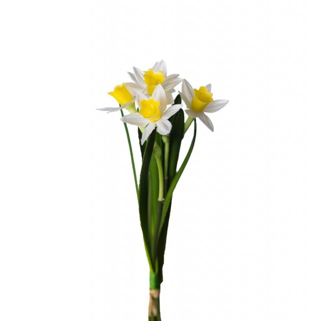 Pinseliljebunt 20cm