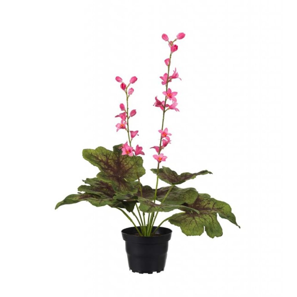 Alunrot rosa 45cm