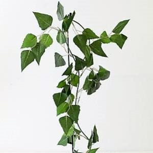 Kunstig plante Ranke med bjerkeblader