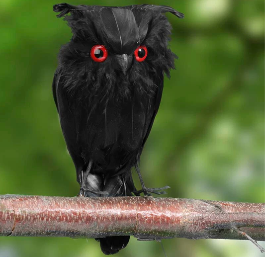 Halloween ugle med rød øyne - 16 cm