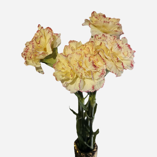 Kunstig blomst nellik med stilk - 55 cm