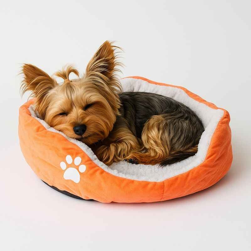 Hunde- og katteseng 44 × 44 cm – flere farger
