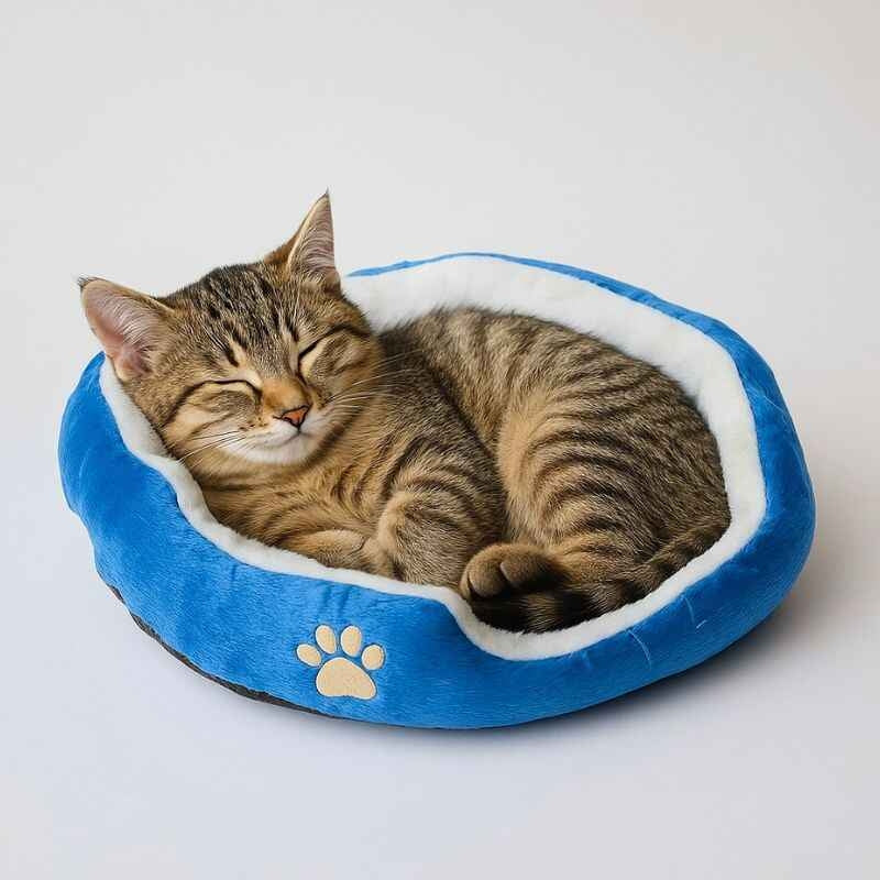 Hunde- og katteseng 44 × 44 cm – flere farger