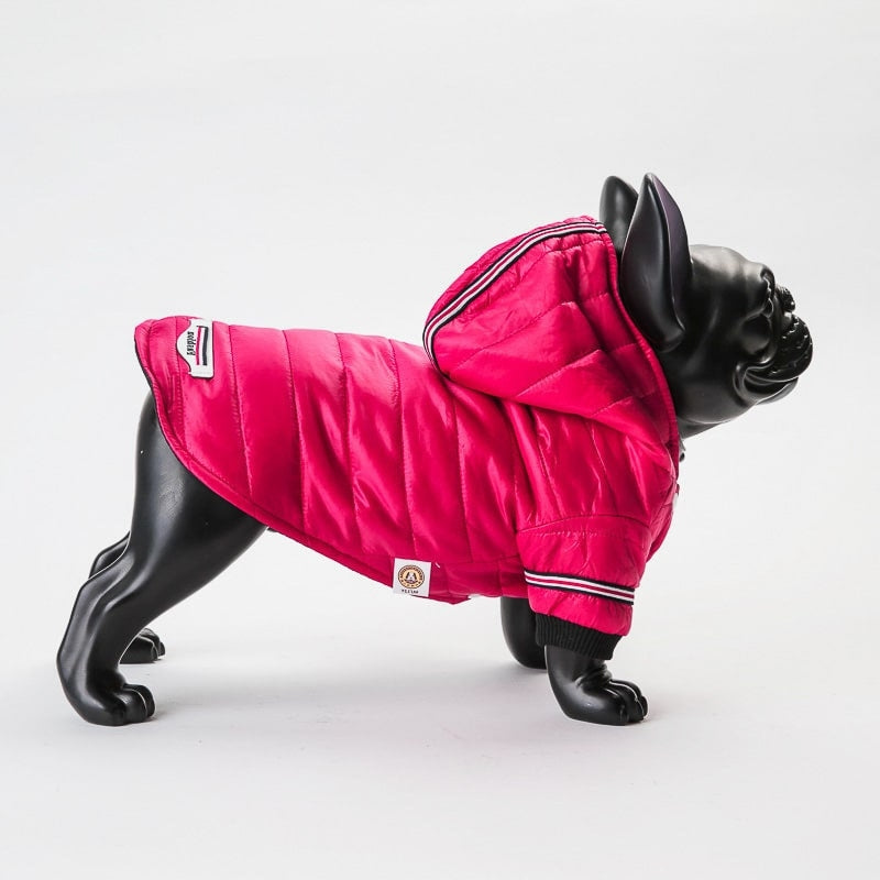 Hundejakke med hette, S–XL – flere farger (grønn/rød)