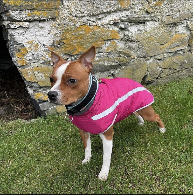 Hundejakke med fleece, XL–6XL – flere farger