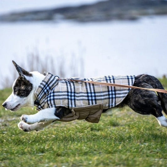 Vendbar hundevest S–3XL, flere farger