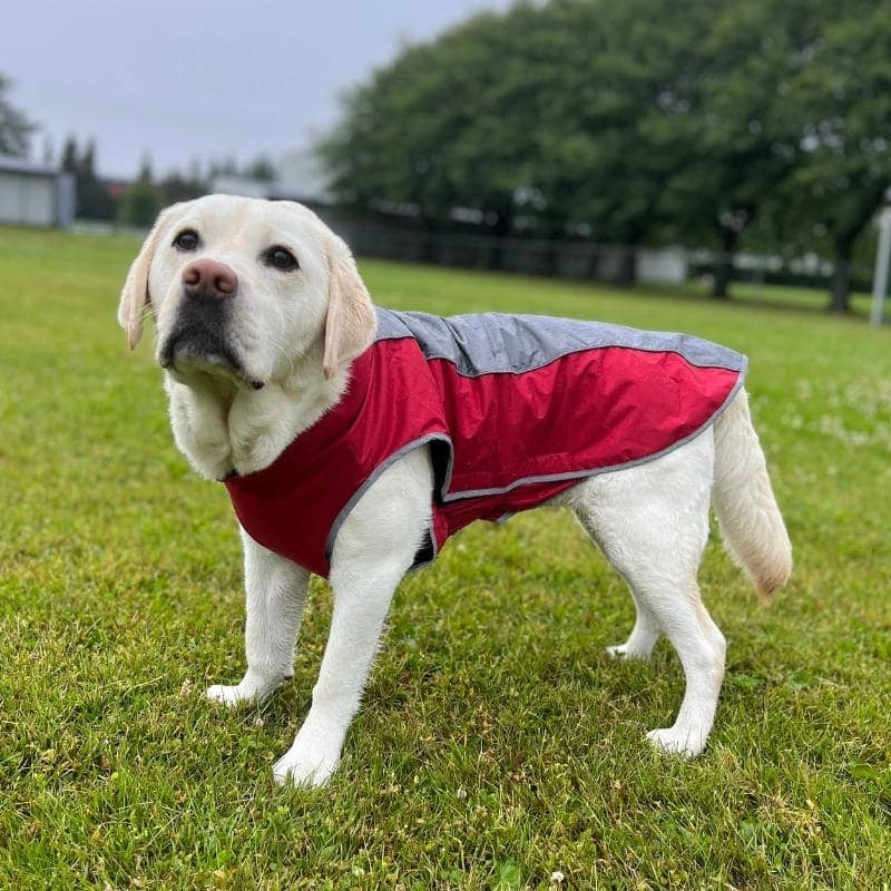 Vannavstøtende hundejakke, XS–3XL – flere farger