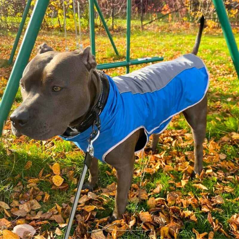 Vannavstøtende hundejakke, XS–3XL – flere farger
