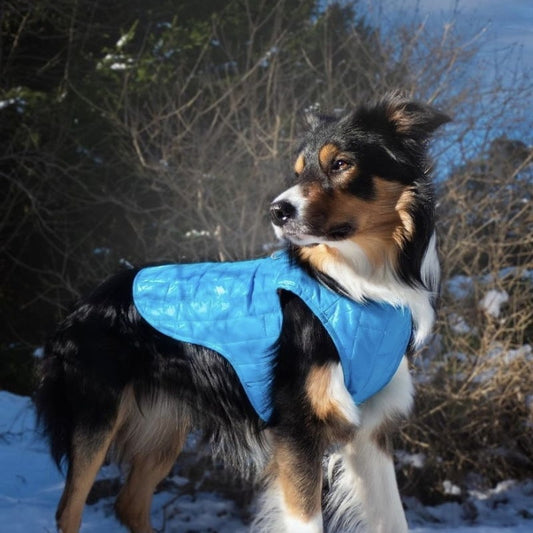 Vannavstøtende hundevest, flere farger (XS–XL)