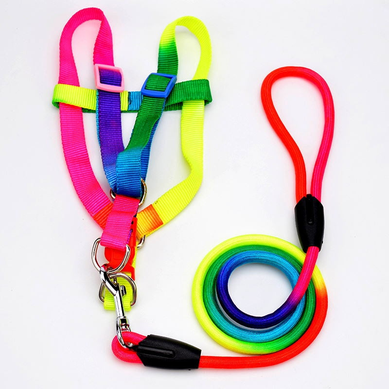 Selesett til hund Rainbow – sele og kobbel (S, M, L)