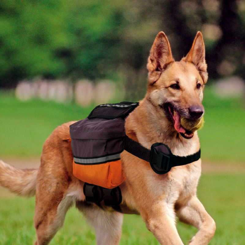 Kløvveske til hund Ferplast Dog Scout M–L, svart/oransje