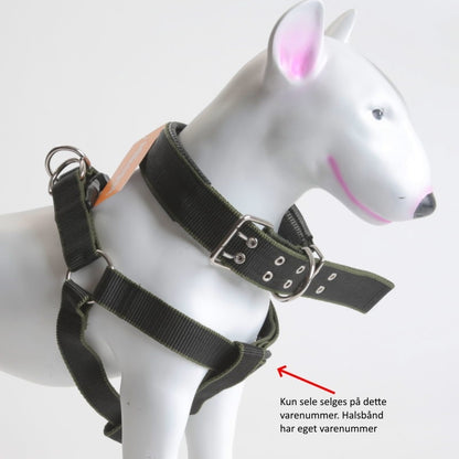 Step-in hundesele, flere farger, XS–XL