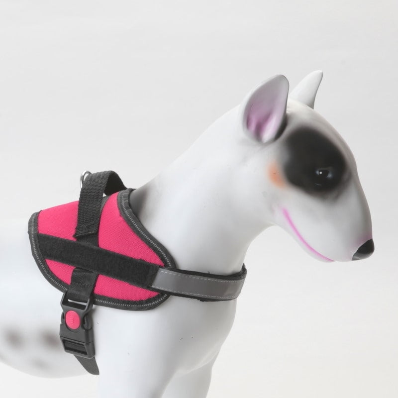 Hundesele K9 ett-klikk — flere farger (XS–2XL)