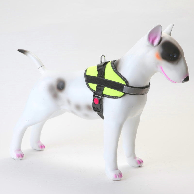 Hundesele K9 ett-klikk — flere farger (XS–2XL)