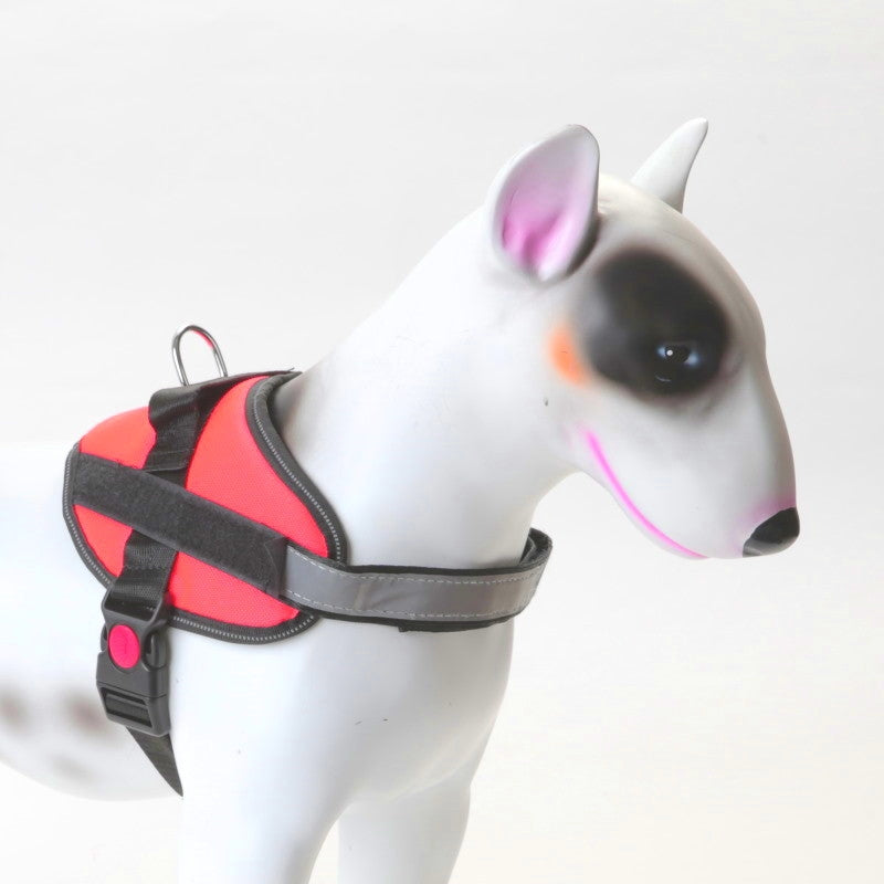 Hundesele K9 ett-klikk — flere farger (XS–2XL)