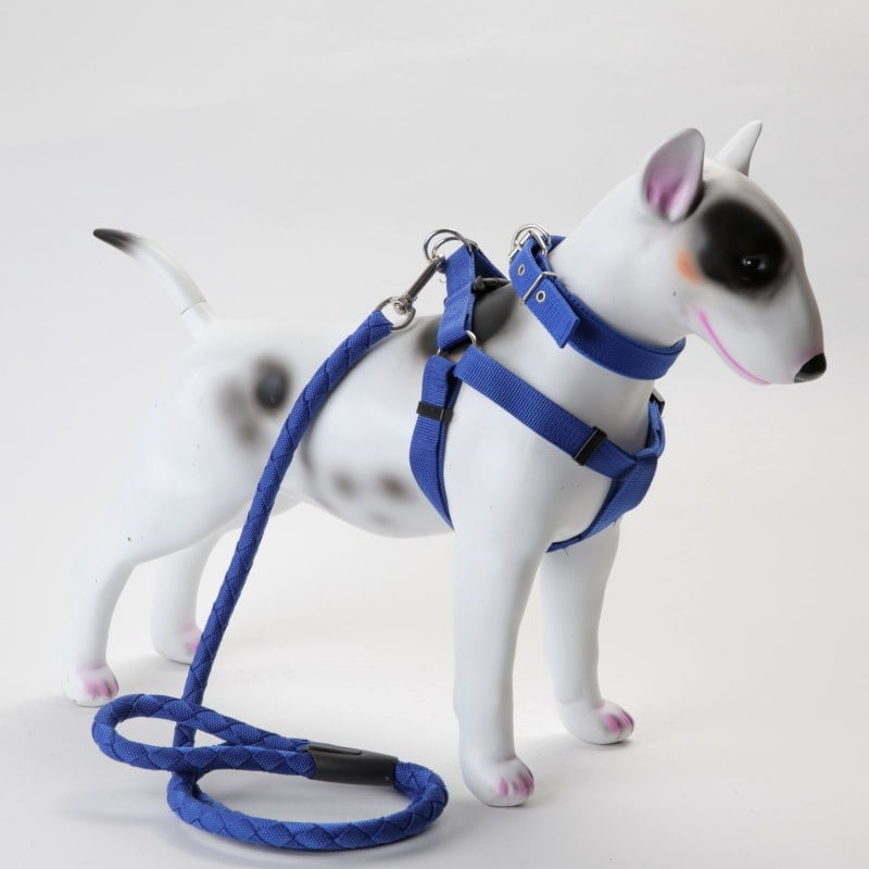 Selesett til hund, 3 deler – sele, halsbånd og kobbel (flere farger, S–2XL)