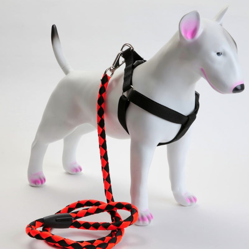 Selesett til hund, 3 deler – sele, halsbånd og kobbel (flere farger, S–2XL)