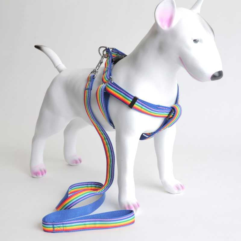 Sele og kobbel Rainbow – selesett i regnbuefarger, S–XL