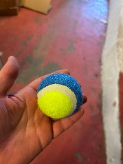 Tennisball til hund