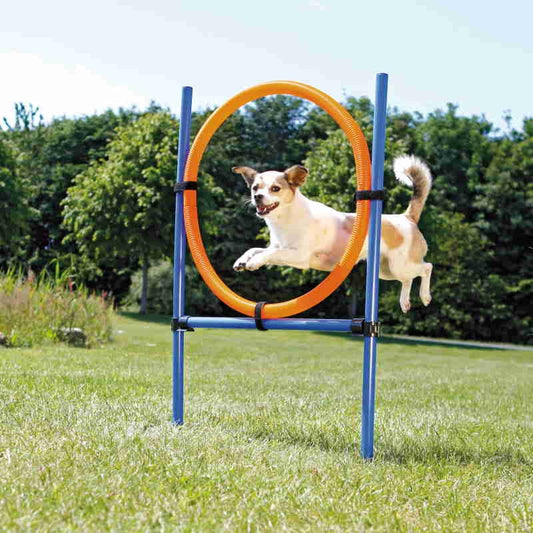 Agilityring 65 cm TRIXIE med stenger og transportbag