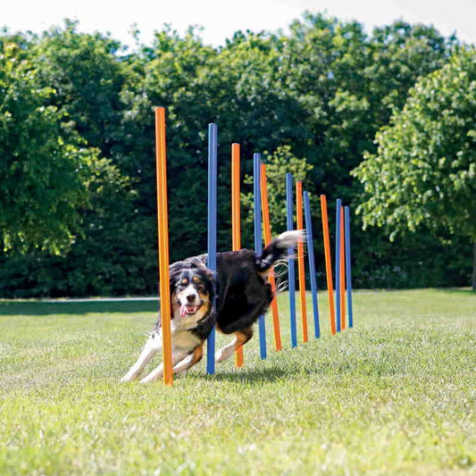 Agility slalom 12 pinner – Trixie