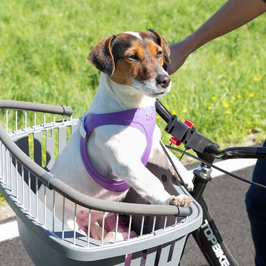 Sykkelkurv til hund og katt 47 × 35 × 34 cm – Ferplast