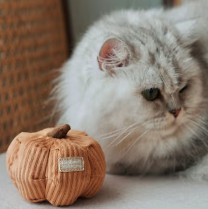 Lambwolf mini leke gresskar til katt  - med kattemynte