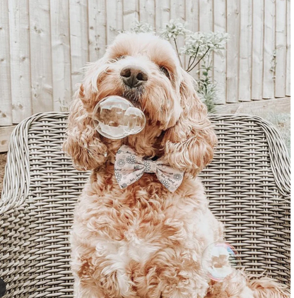 Meaty bubbles - såpebobler for hund og katt - Puppashino