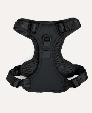 Maxbone Easy Fit Hundesele - Premium Neopren Sele for Små Hunder