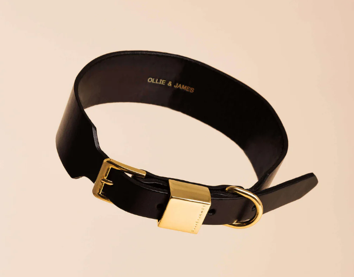 Ollie & James Premium Hundehalsbånd Large - Italiensk Skinn