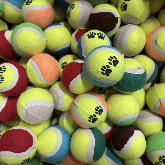 Tennisball til hund-assorterte farger