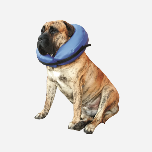 Trine beskyttelseskrage - hundekrage