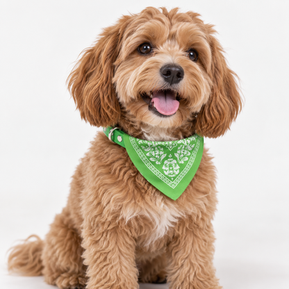 Halsbånd med bandana for hund – flere farger, 4 størrelser (S–XL)