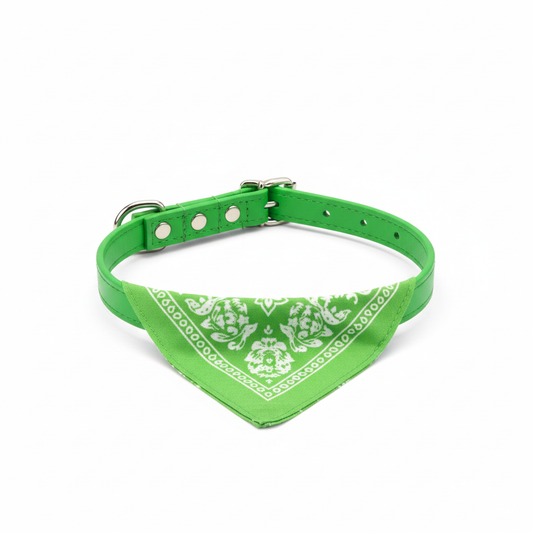 Grønt halsbånd med bandana – forbedret produktbilde