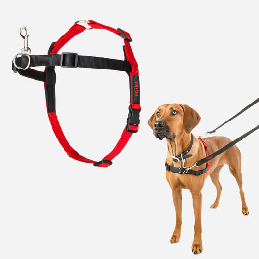 Halti Front Control treningsele - Stor - Hundesele - Hundebånd