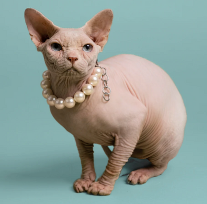Halskjede med Perler til Katt og Hund | BOH Band of Heartbreakers