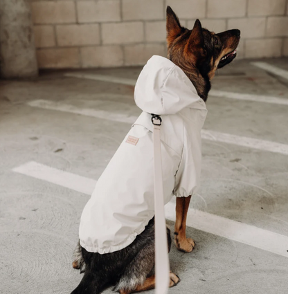Brighton Regnjakke til Hund - Vanntett Hundejakke - Lambwolf Collective