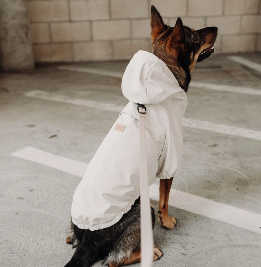 Brighton Regnjakke til Hund - Vanntett Hundejakke - Lambwolf Collective